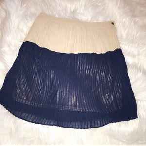 Beige & Navy Pleated Skirt